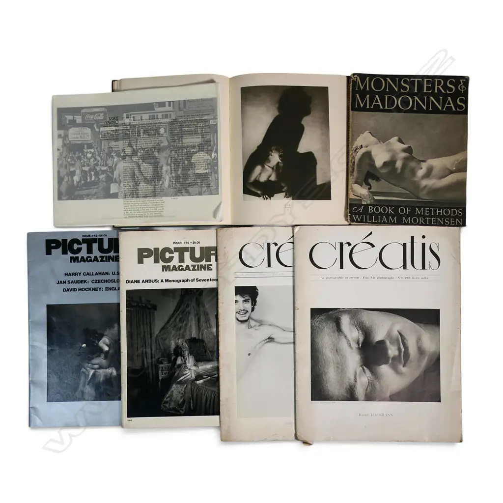 SEVEN PHOTOGRPAHY PUBLICATIONS INCL. PICTURE MAGAZINE - DIANE ARBUS Image 1++